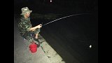 夏天来条河豚尝尝, 味道太赞, 就是不知道还有没有下次
