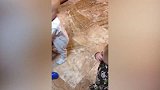 宝宝的友情我不懂，上秒亲亲，下秒翻脸闹哪样呀！