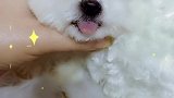 自愈系笑容