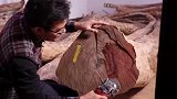 14282万拍卖成交的海南黄花梨树，原料再次出现在大众视野