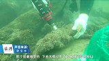 我在海底种珊瑚：冬日下水10分钟全身发抖