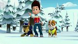 汪汪队：狗狗们找到了雪怪，这是什么物种？给阿奇和小力吓坏了！