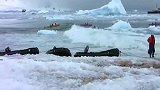 南极冰山崩裂坍塌时的惊人一幕