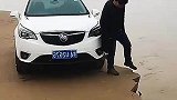 艺高人胆大，这都不跑吗