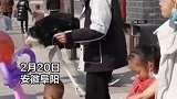 被扼住命运的后脖颈！真像小时候犯错时被家长老师揪着耳朵的样子 动物世界 可可爱爱