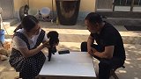 这只土狗绝对是农村的霸主，大哥风范拿捏得妥妥的，霸气侧漏