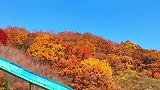 #两极穿越龙江行｜邂逅同江浪漫 醉游五花山