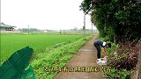 塑料罐别丢掉，小哥教你废物利用，制作的卡通花盆简直不要太别致