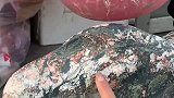 老爷爷上山放羊捡的石头，据说这块石头特别喜欢喝水