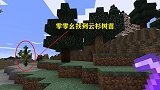 我的世界多人联机58：零零幺去收集了云杉树苗，准备制作圣诞树
