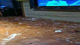 你们是玩高兴了，可保洁阿姨要哭了，这可咋打扫