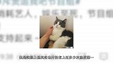 “空降”热搜一，粉丝只想撤下来，肖战这次是被谁利用了！