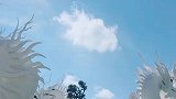万般皆苦，只可自渡
