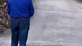 难以想象将来自己的狗狗也是这样该怎么办。