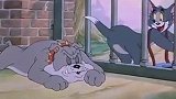 猫和老鼠：汤姆小心翼翼，生怕被大狗抓住，这下抓住就完了