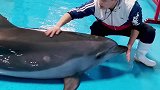 抖到蓬莱八仙过海 老师傅来啦
