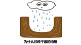 山上的空池塘，没有人为干预，究竟是如何出现鱼的？
