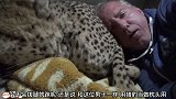 男子睡觉到半夜，发现有猎豹走了进来，镜头拍下这一幕