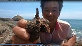 7000平孤岛海鲜遍布，一条20斤“美人鱼”卖1000