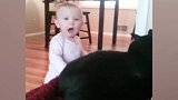 宝宝拿着逗猫棒，和猫咪玩的有声有色，真有意思！