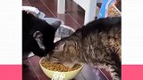 也不是没有原因的