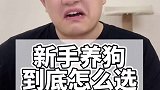 新手养狗，到底怎么选？