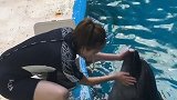 桃子小姐姐 说点赞如果破万 就请我吃一个夏天的冰糕，老铁们就看你们的啦