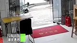 湖北黄冈：一头野猪突然闯进营业厅
