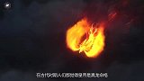 山西大山农村发现“金凤凰”，大叔默默守护4年，专家脸色变了