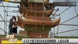 5.5万粽子筑5米高岳阳楼模型 入选吉尼斯-6月13日