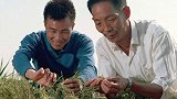 无论岁月留下多少痕迹，家家飘起饭菜香，我们又会时常念起他