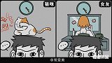 有了猫咪就不需要女朋友了，因为她们其实差不多！