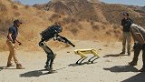 仿生机器人百般受虐，终于忍不住反抗？这会是未来的景象吗？