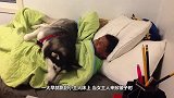 猞猁捂住主人眼睛“猜猜我是谁”，被猜到后，猞猁的举动笑翻众人