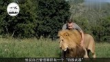 动物园狮子发生暴乱,动物管理员拿出秘密武器,下一秒轻松解决