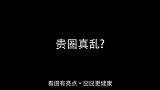 原来狗狗也这么八卦！贵圈真乱
