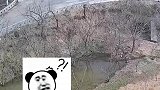 司机驾车径直栽进路边水坑，不知是司机太渴了，还是面包车太渴了