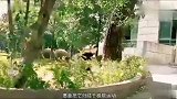 说真的! 当云南跑酷第一人, 飞檐走壁的那一瞬间真的被他惊呆到了! !
