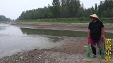 河道旱成小溪，听说有大鱼出没，渔夫拎8米撒网捕鱼，每网中大货
