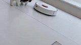 猫猫跟拖地机玩了起来