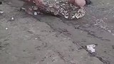 这一网无敌了，河都捞干净了吧