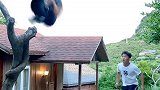 谁知道我跳了多少次