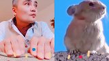 我是尽力了，点赞吧！不服的来挑战！