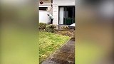 号外！贝尔足坛高尔夫一哥地位不保 张伯伦高难度挑战强势来袭