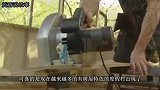 老外花9亿造世界最大树屋，内部豪华有80个房间，比别墅还舒服