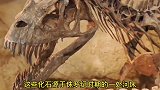 史前河床生存之战，剑龙VS角鼻龙，异特龙VS圆顶龙