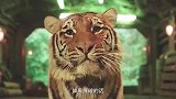 打个劫也不忘给这群“憨”匪上一课，哈哈哈