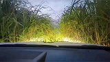 男子跟着导航走，这是走到什么地方来了