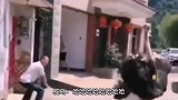 四川方言配音：铲屎的，这是你生的娃吗？快让他放开我吧