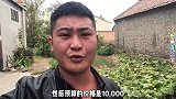 帮粉丝代购2只恶霸，老板很大气直接给我，太感谢啦